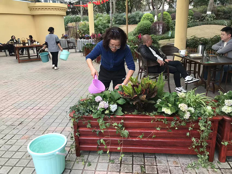 植物养护